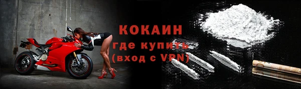 СК Новодвинск
