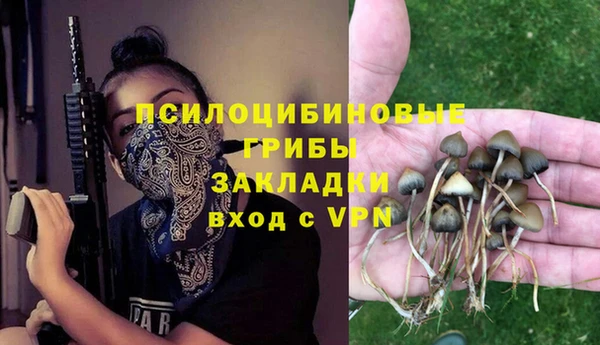 сатива Няндома