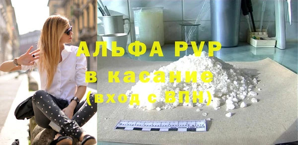 СК Новодвинск