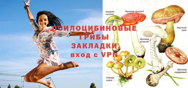 ПСИЛОЦИБИНОВЫЕ ГРИБЫ Нягань