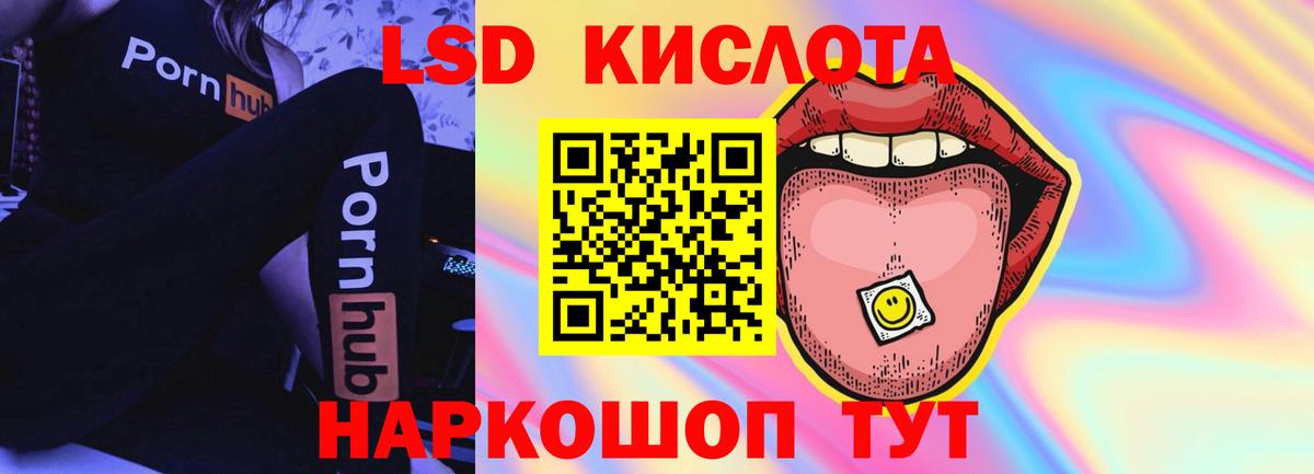 Новозыбков  Лсд 25 экстази кислота  blacksprut ONION  Вход с VPN  ЛСД экстази кислота 