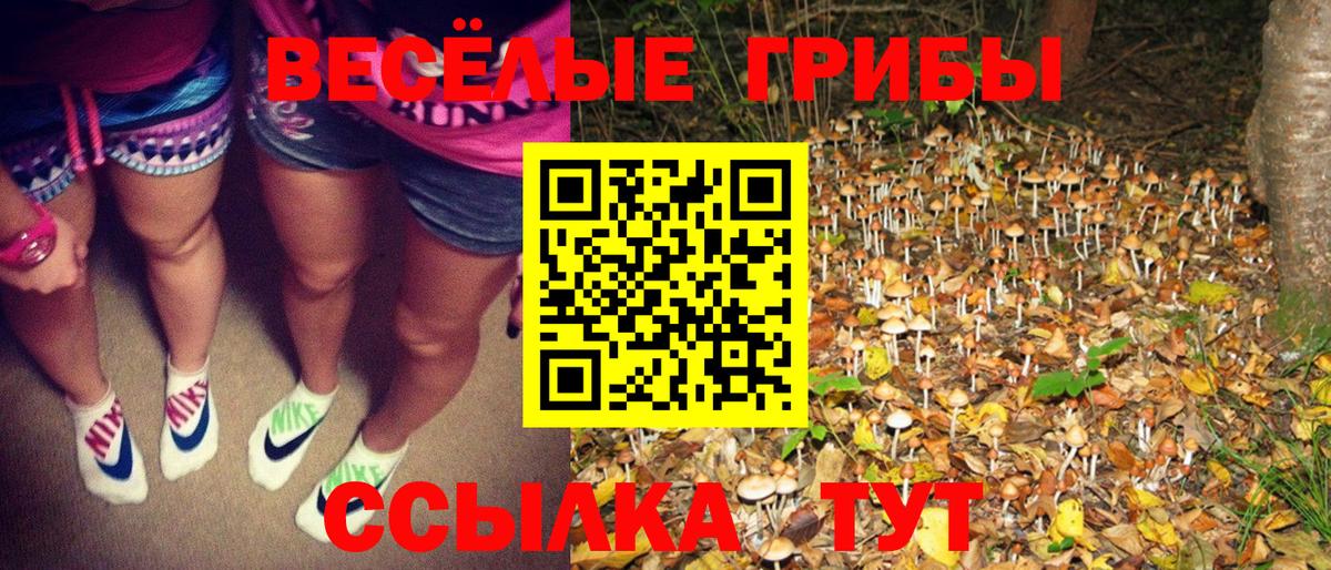 Галлюциногенные грибы Magic Shrooms Новозыбков