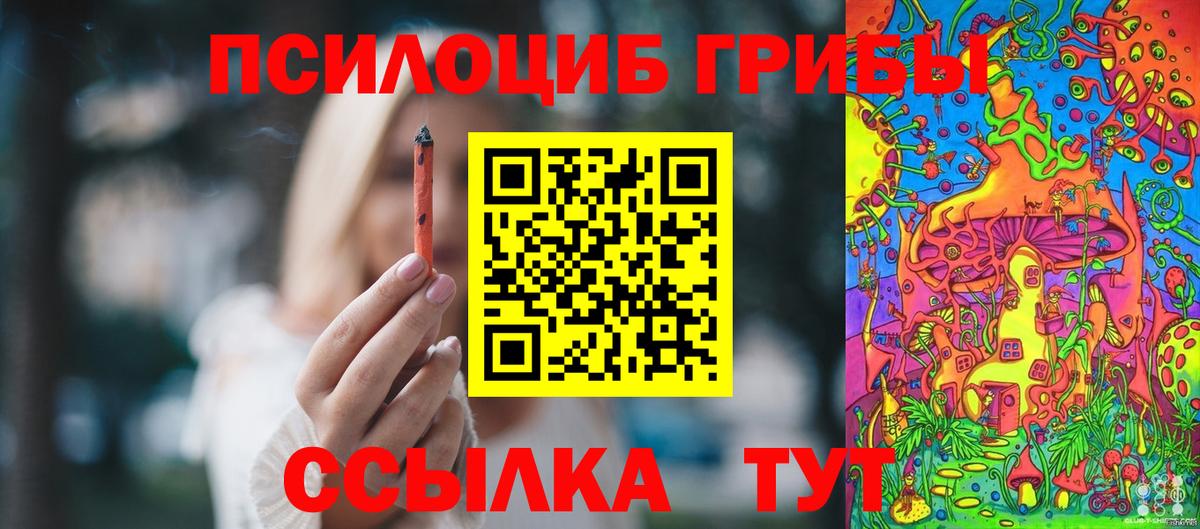 Галлюциногенные грибы Psilocybe Новозыбков