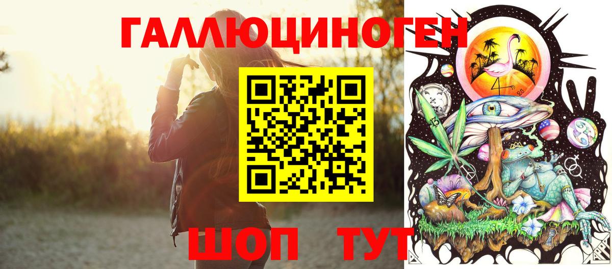 Новозыбков  Псилоцибиновые грибы прущие грибы  Вход с VPN 