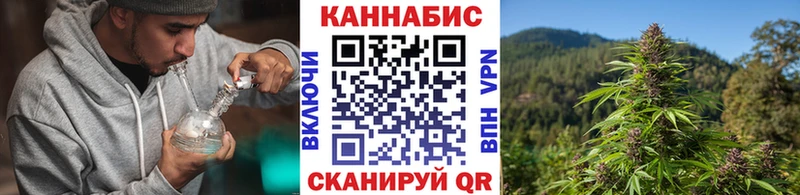 Каннабис VHQ  купить наркотик  Новозыбков 